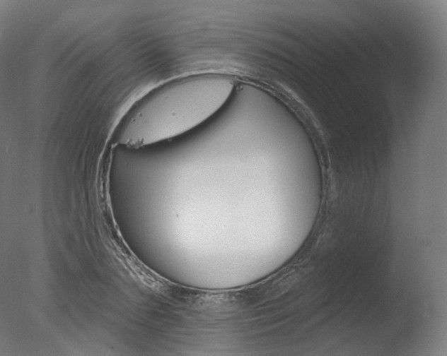X0000077370883200610201011