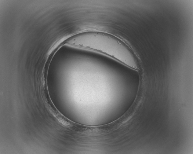 X0000077370885200610201011