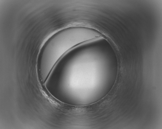 X0000077370888200610201011