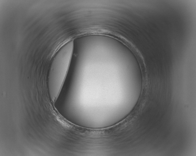 X0000077370889200610201011