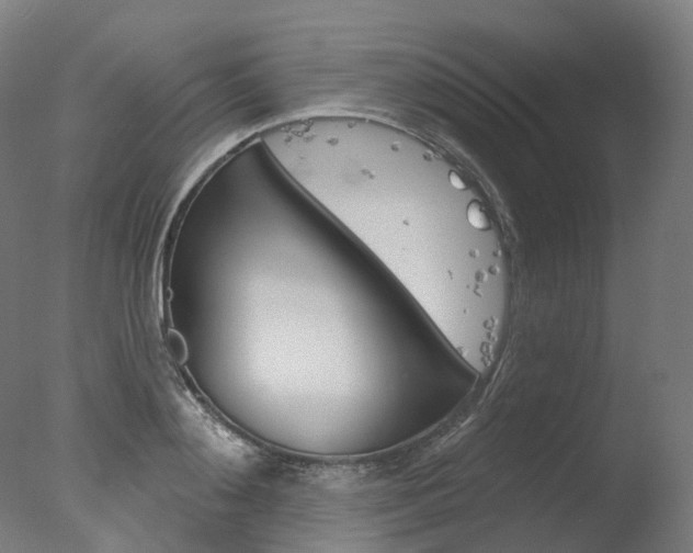 X0000077370892200610201011