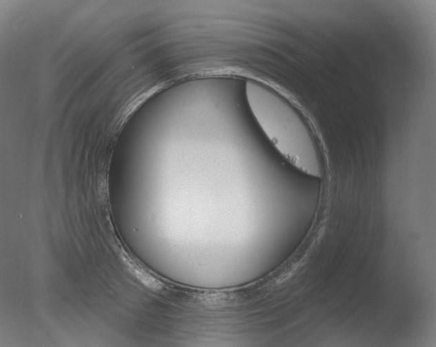 X0000077370897200610201011