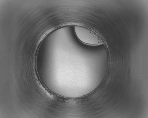 X0000077370898200610201011