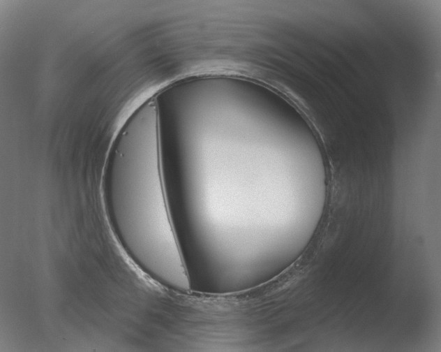 X0000077370901200610201011