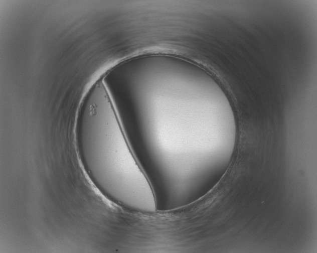 X0000077370902200610201011