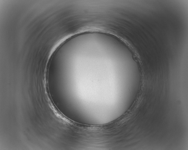 X0000077370904200610201011