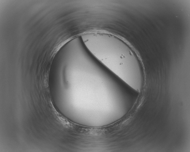 X0000077370905200610201011