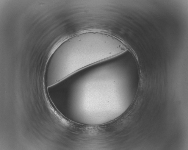 X0000077370906200610201011