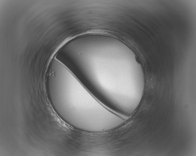X0000077370908200610201011