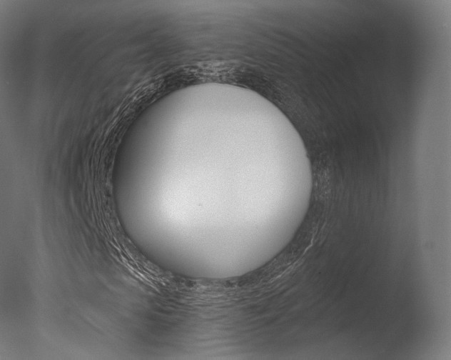 X0000077370913200610201010