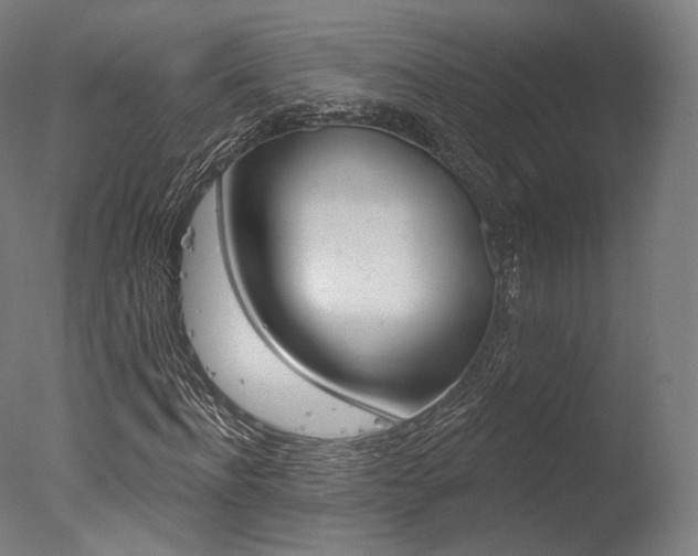 X0000077370916200610201010