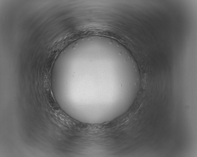 X0000077370917200610201010