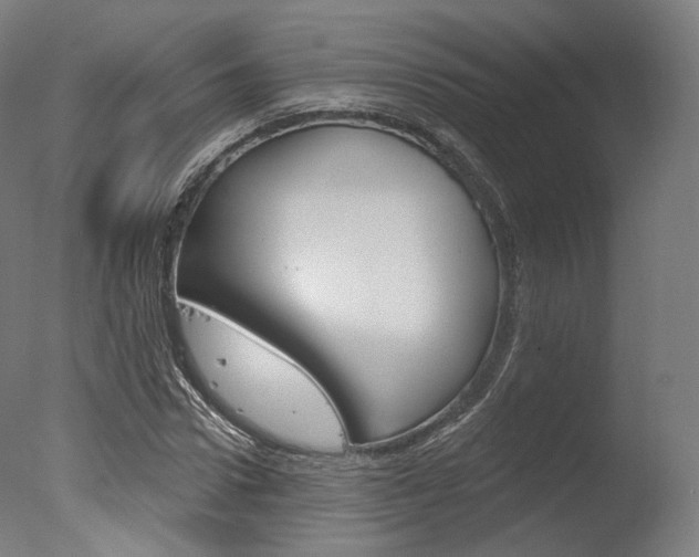 X0000077370922200610201010