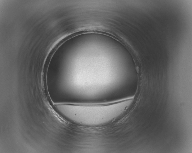 X0000077370932200610201010