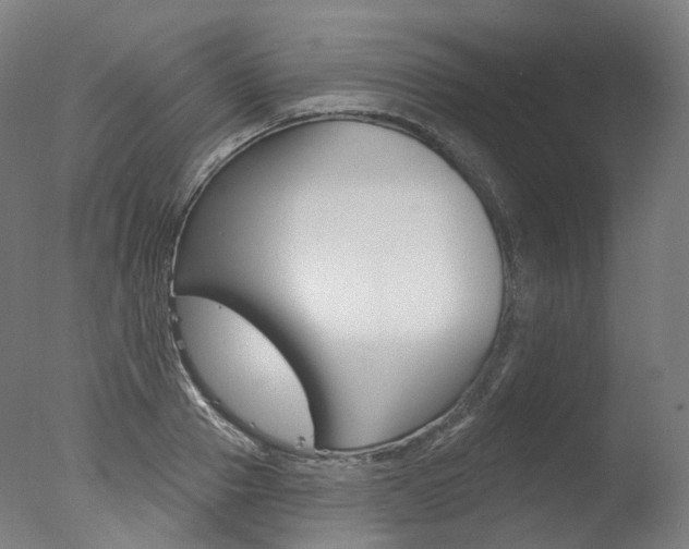 X0000077370937200610201010