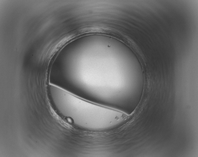 X0000077370938200610201010