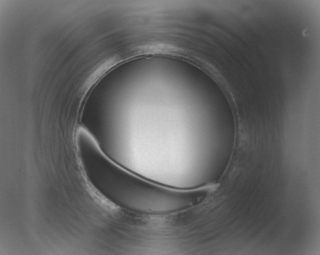 X0000077370946200610201011
