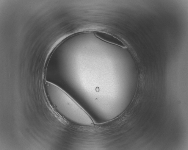 X0000077370948200610201011