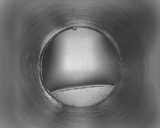 X0000077370951200610201011
