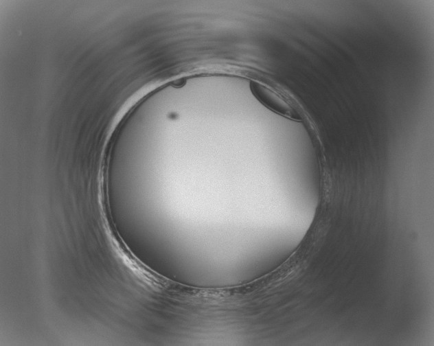 X0000077370955200610201011