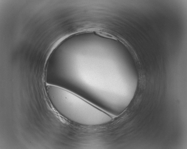 X0000077370956200610201011