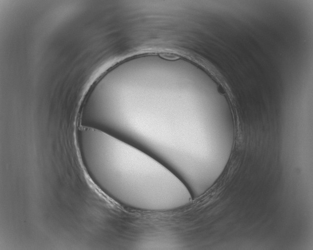X0000077370958200610201011