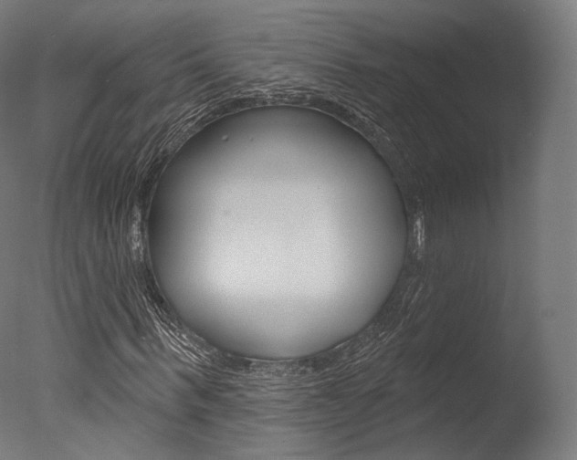 X0000077370963200610201010
