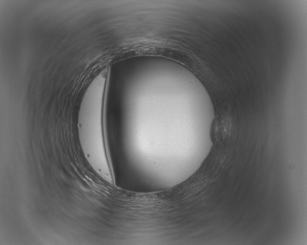 X0000077370964200610201010