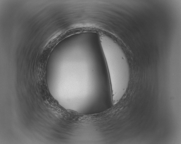 X0000077370967200610201010