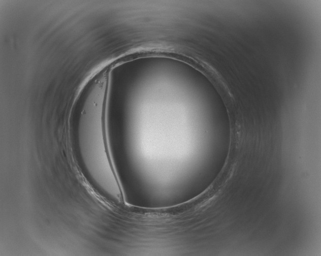 X0000077370981200610201010