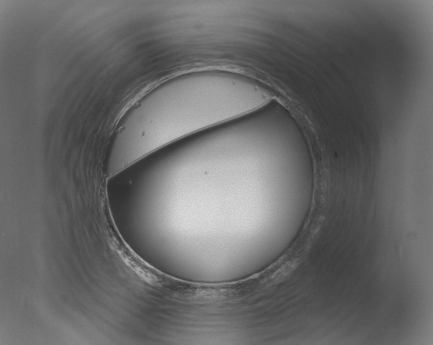 X0000077370985200610201010