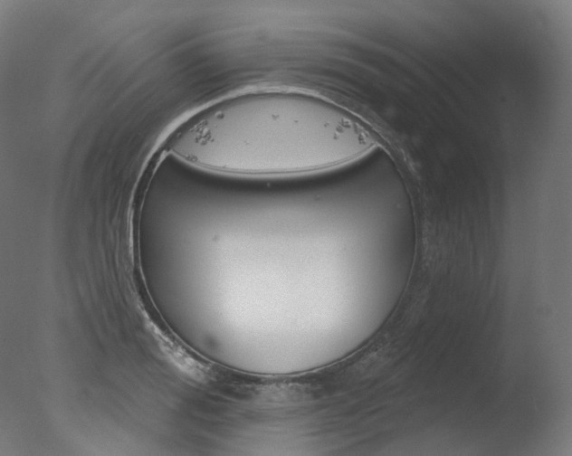 X0000077370988200610201010