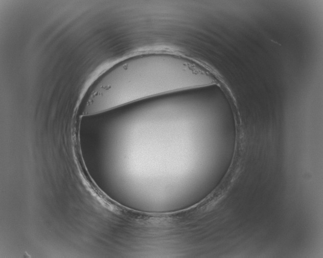 X0000077370989200610201010