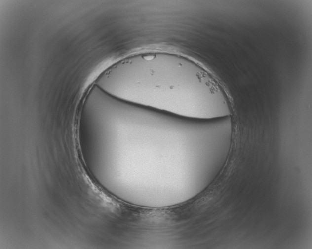 X0000077370998200610201009
