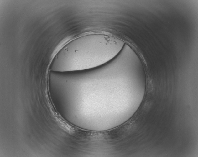 X0000077371002200610201009