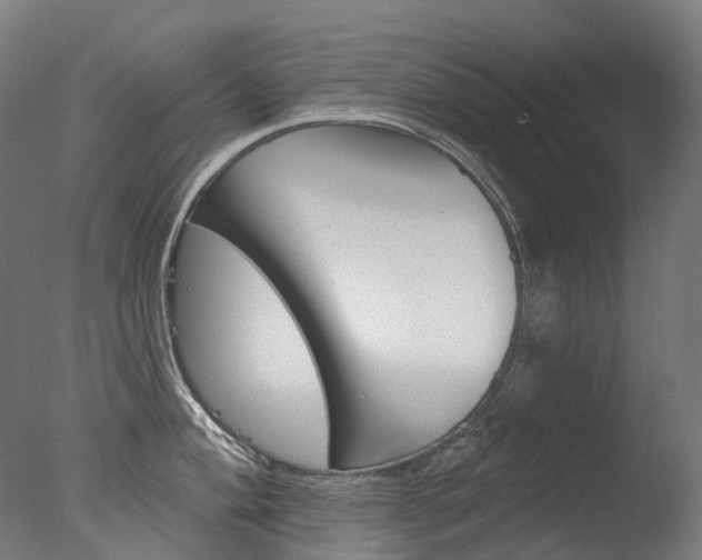 X0000077371004200610201009