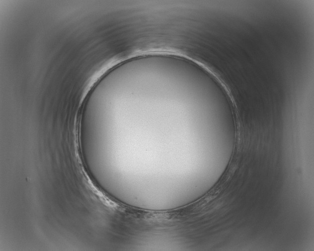 X0000077371006200610201009
