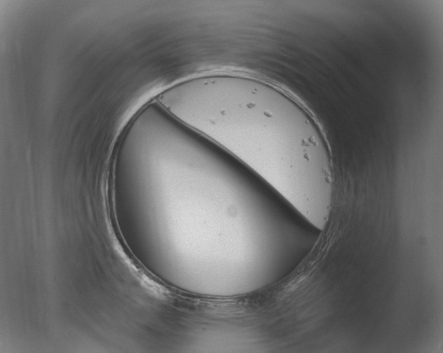 X0000077371007200610201009