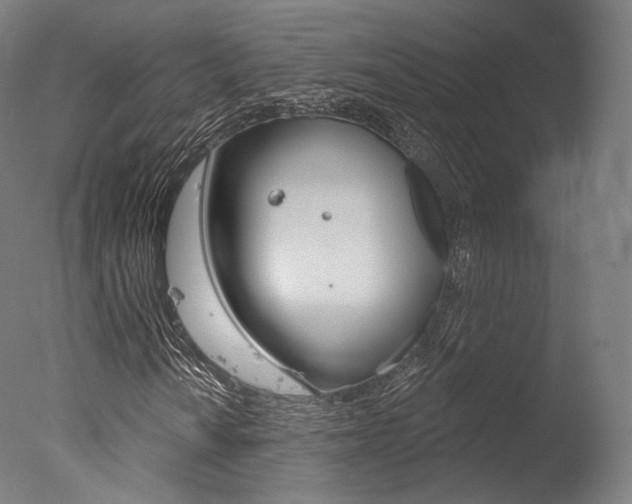 X0000077371010200610201008