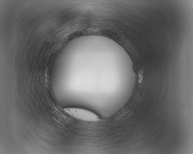 X0000077371011200610201008