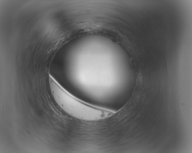 X0000077371012200610201008