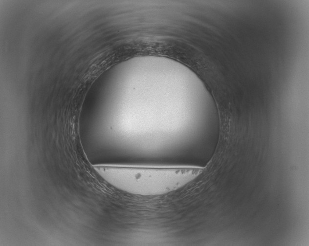 X0000077371013200610201008