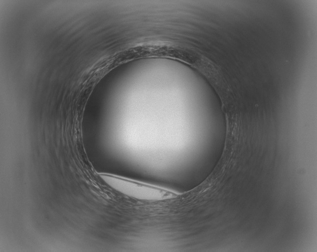 X0000077371014200610201008