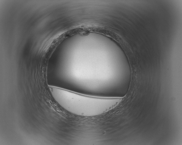 X0000077371016200610201009