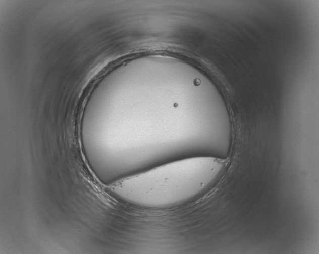 X0000077371023200610201009