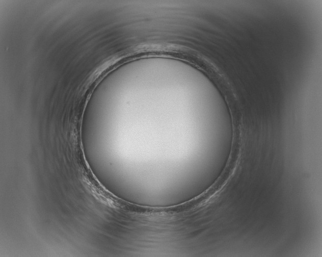 X0000077371025200610201009