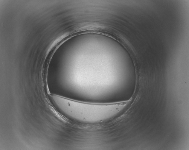 X0000077371026200610201009