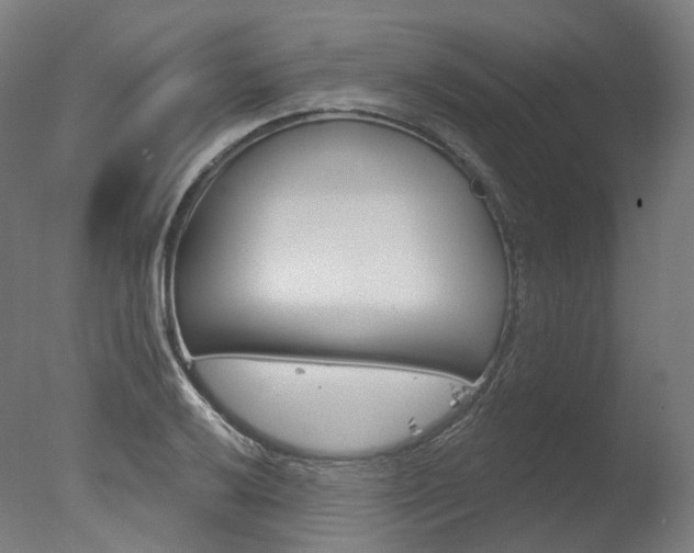 X0000077371032200610201009