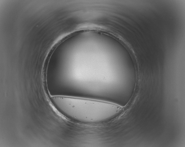 X0000077371037200610201009