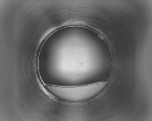 X0000077371038200610201009
